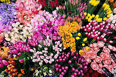 扮演猫咪砍丧尸 《Gori: Cuddly Carnage》新预告